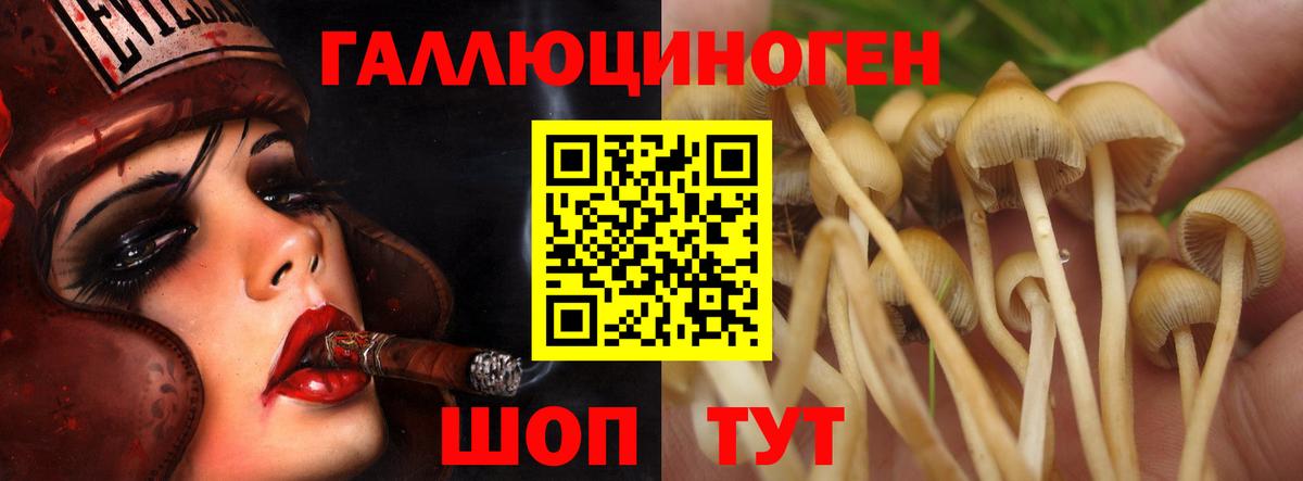 Псилоцибиновые грибы мицелий Димитровград