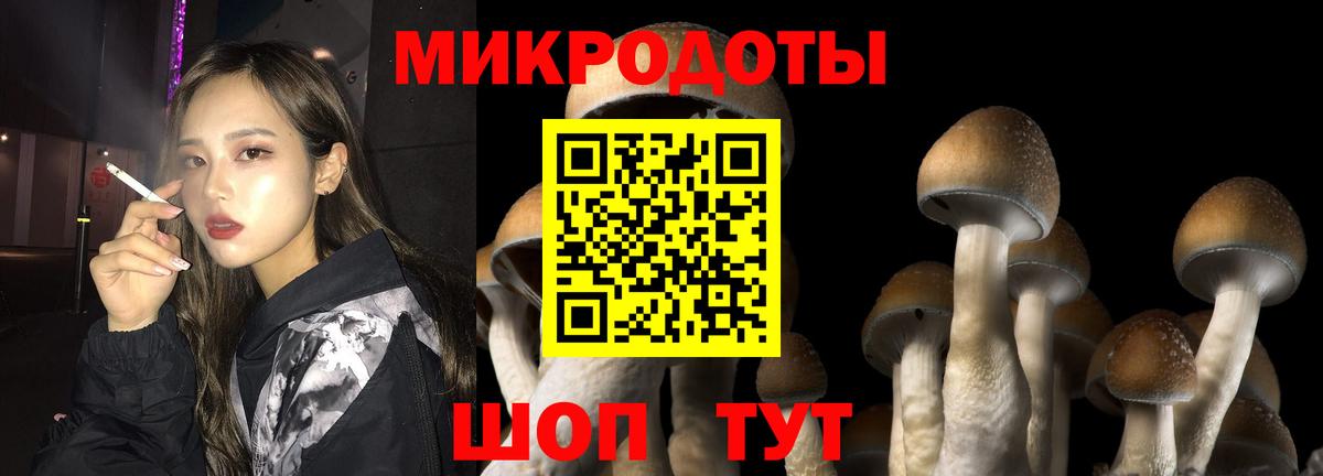 Димитровград  Галлюциногенные грибы Psilocybe  купить наркоту  Вход с VPN 